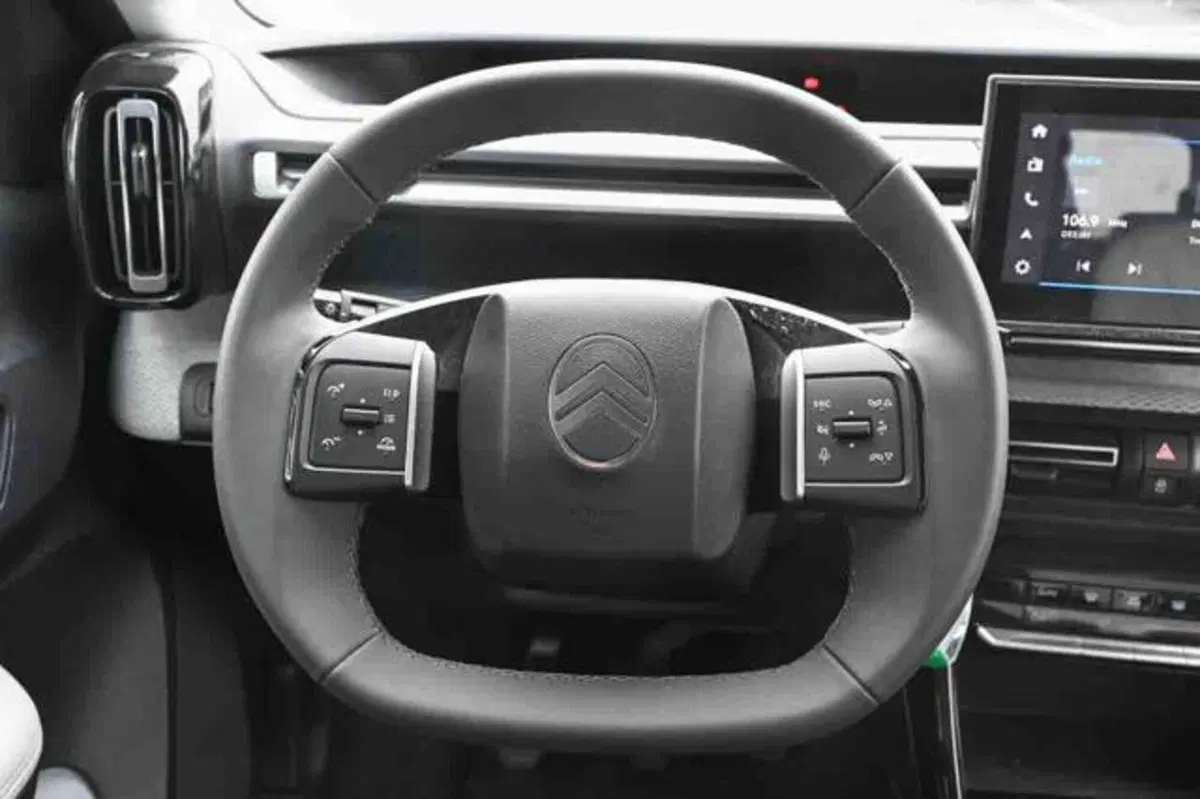 Citroen C3 usata a Torino (19)