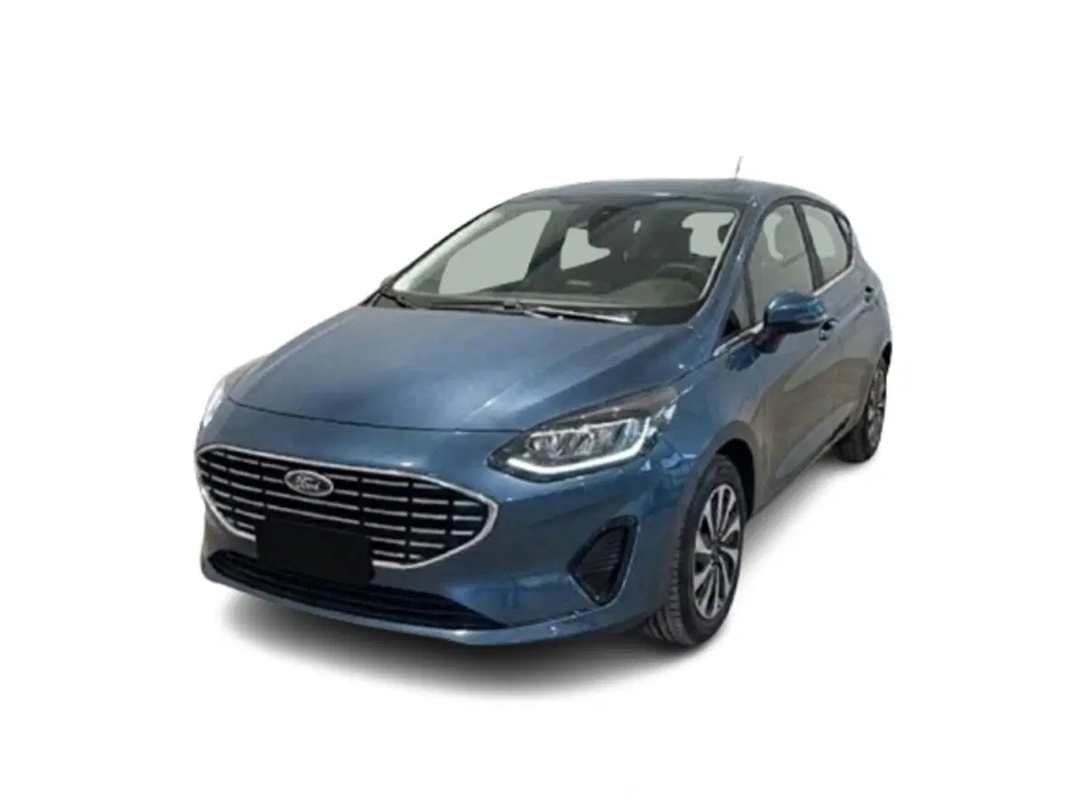 Ford Fiesta usata a Bari