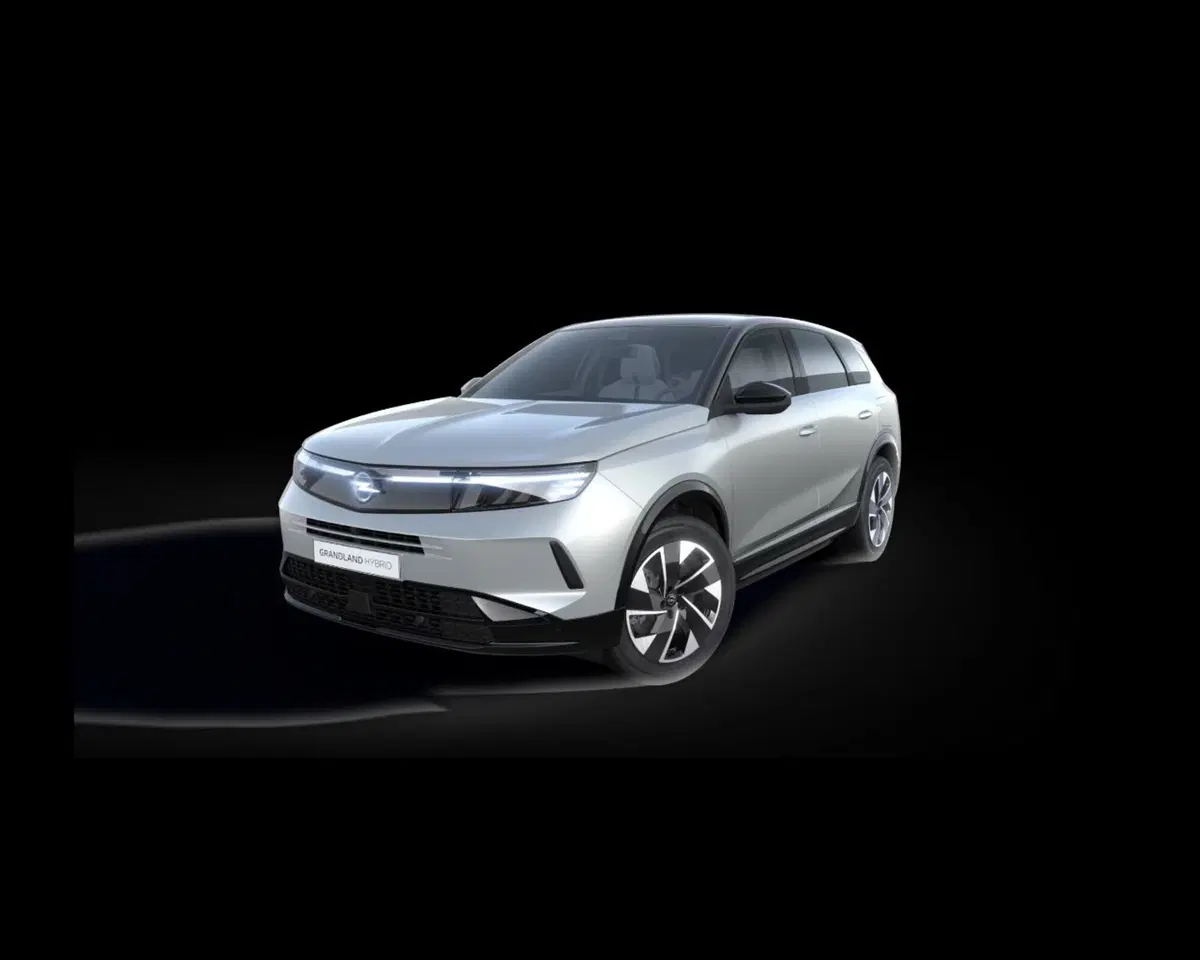 Opel Grandland nuova a Treviso (4)