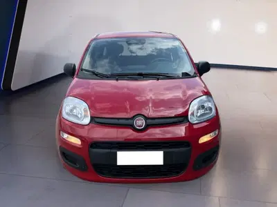 Fiat Pandina 1.0 firefly hybrid s&amp;s 70cv del 2025 usata a Torino