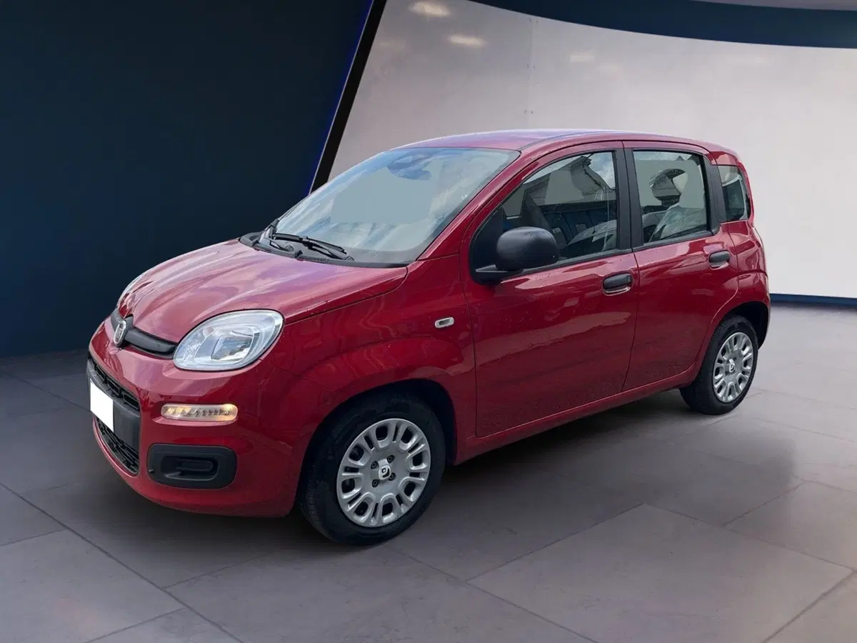 Fiat Pandina usata a Torino (2)