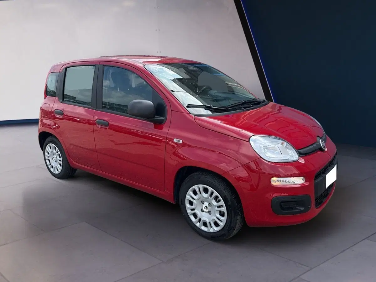 Fiat Pandina usata a Torino (3)