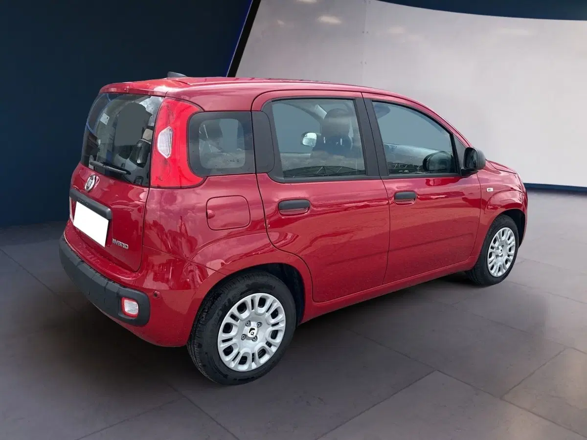 Fiat Pandina usata a Torino (4)