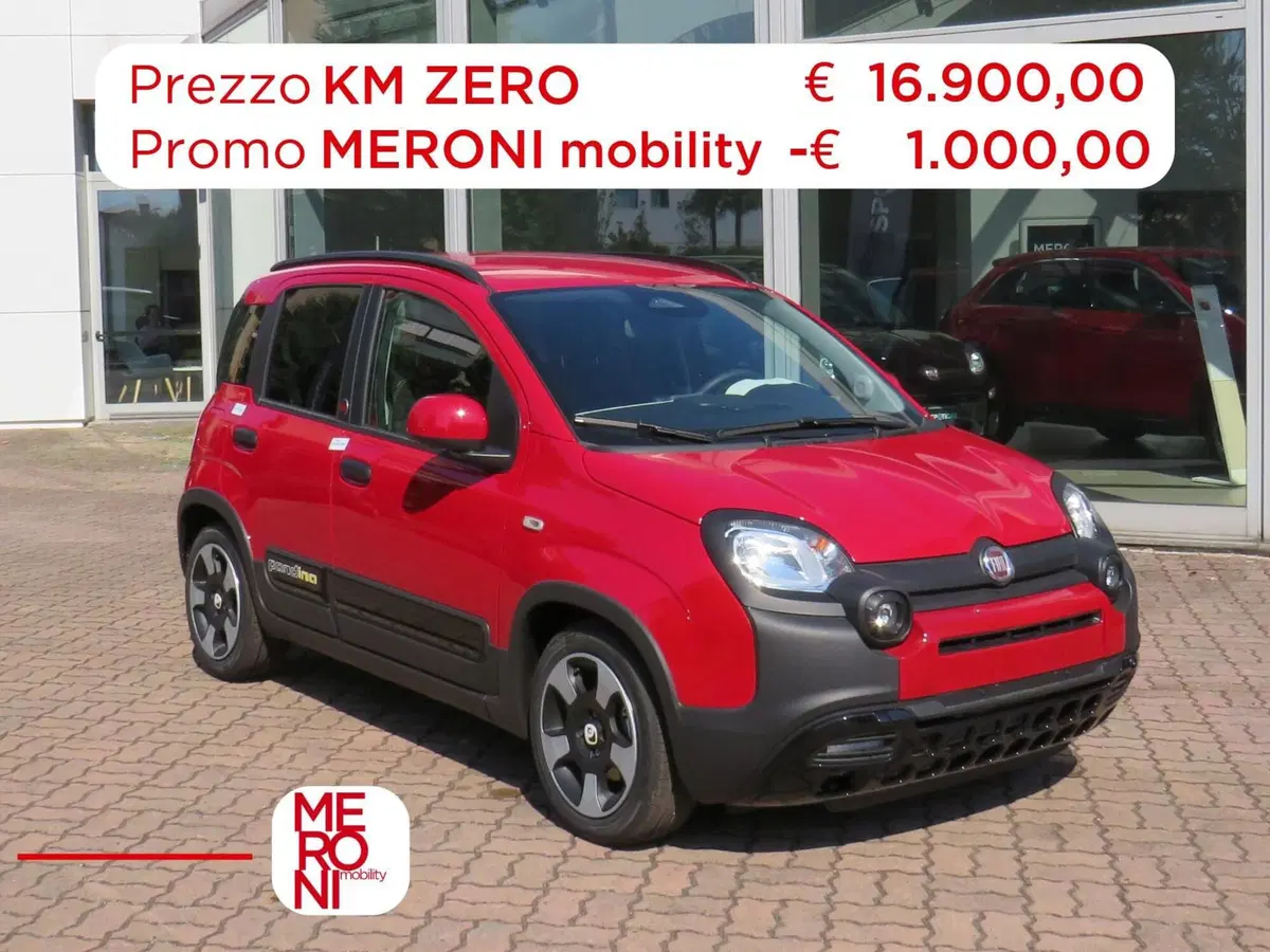 Fiat Pandina nuova a Monza e Brianza