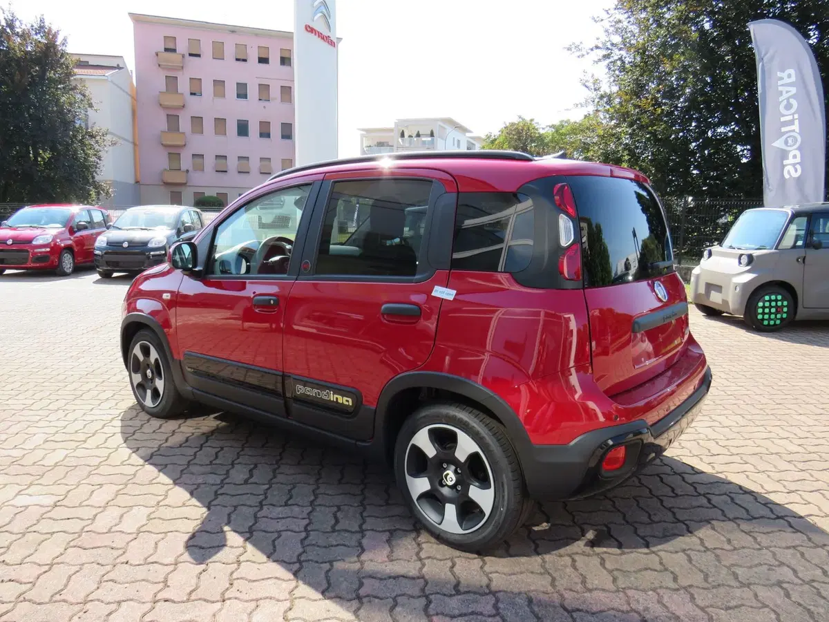 Fiat Pandina nuova a Monza e Brianza (5)