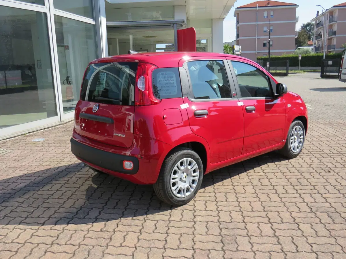 Fiat Pandina nuova a Monza e Brianza (4)