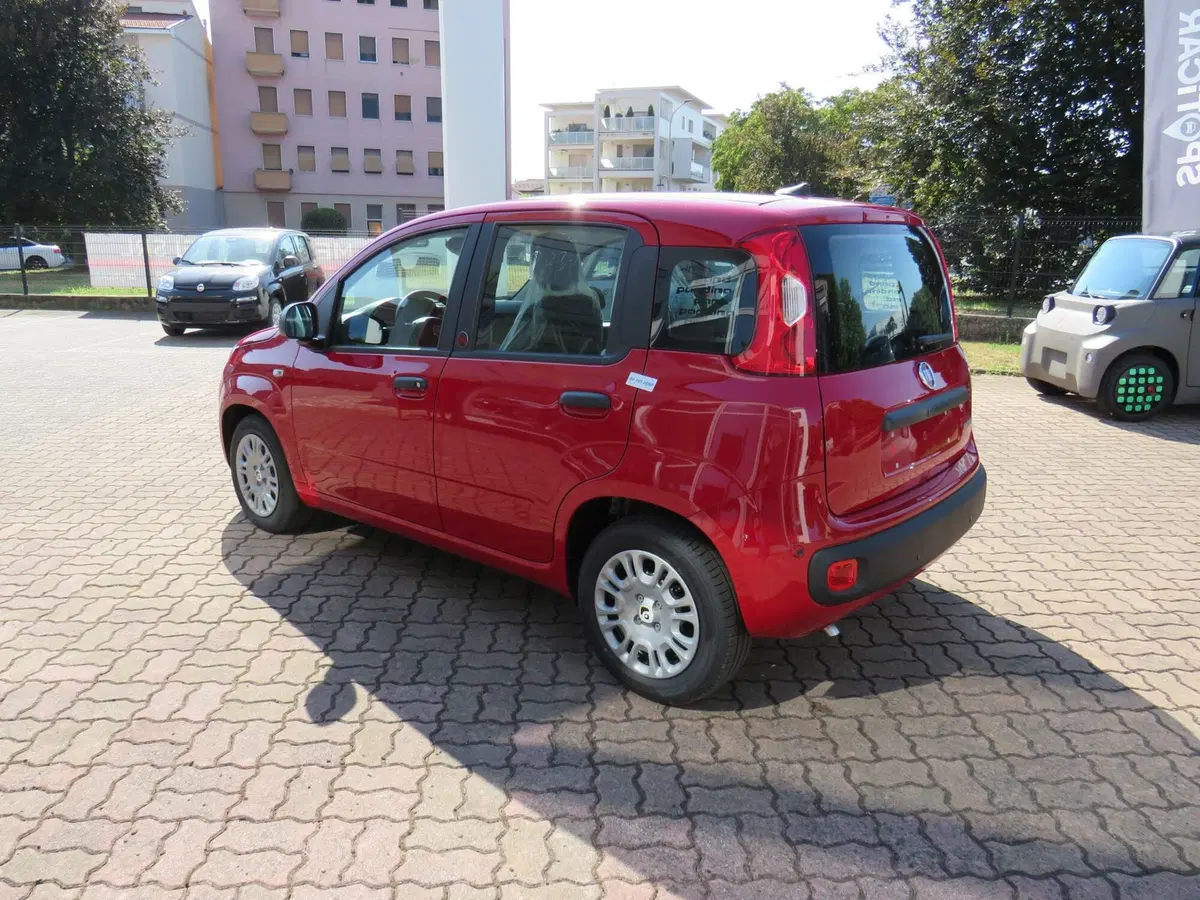Fiat Pandina nuova a Monza e Brianza (5)