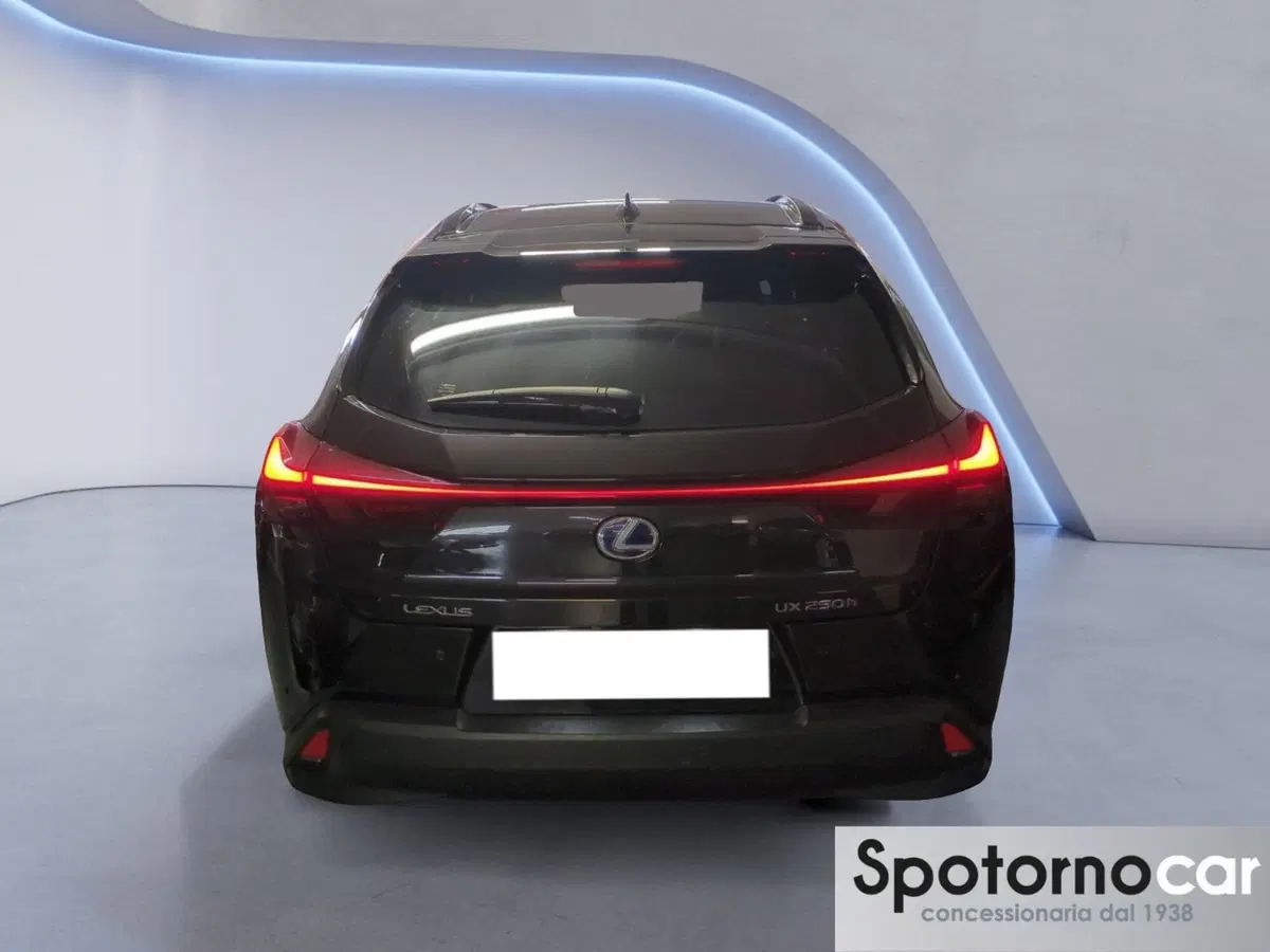 Lexus UX usata a Milano (4)