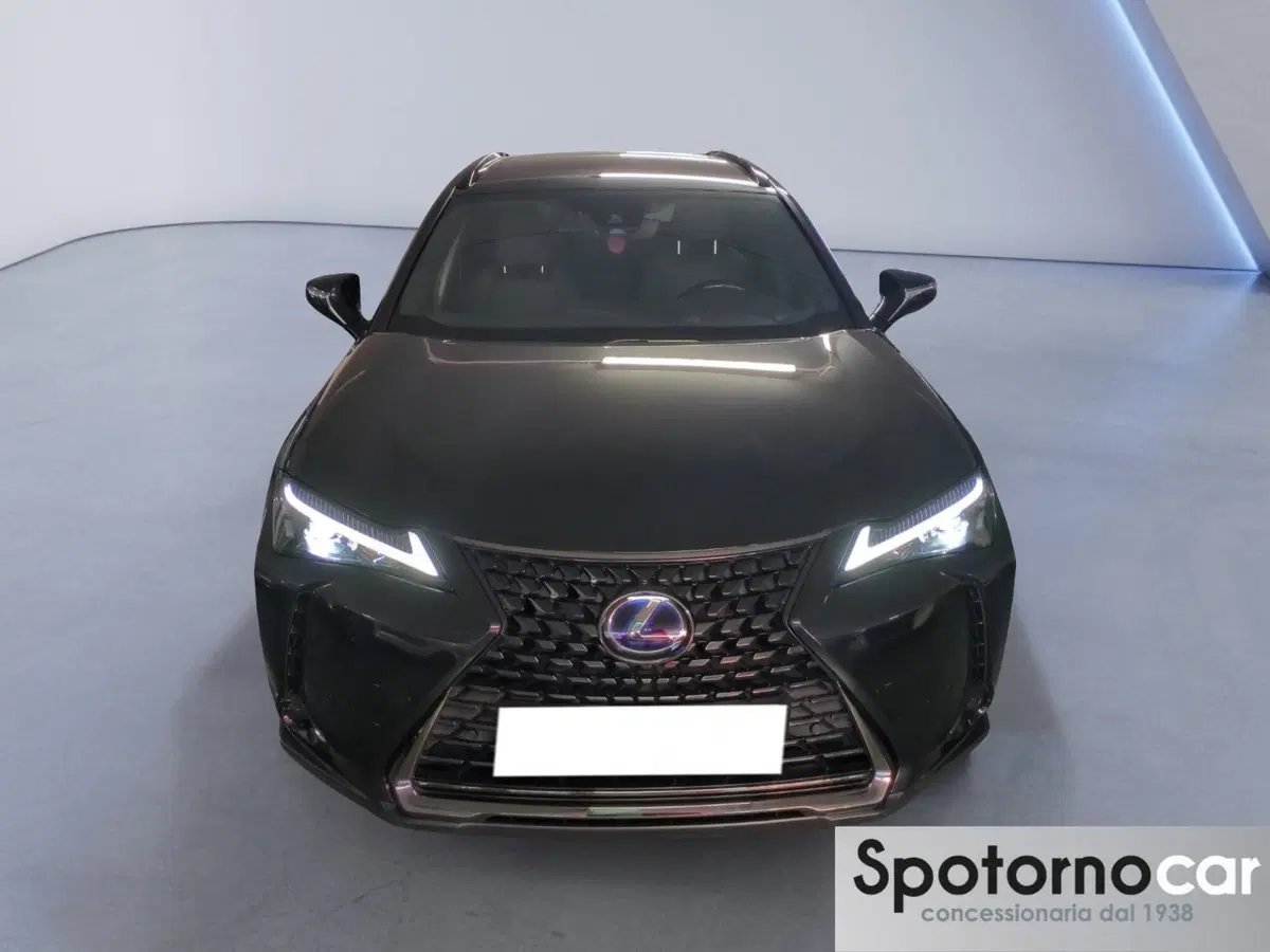 Lexus UX usata a Milano (5)