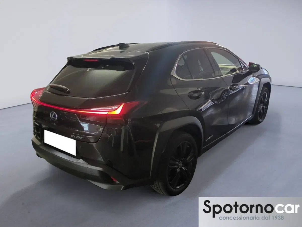 Lexus UX usata a Milano (6)