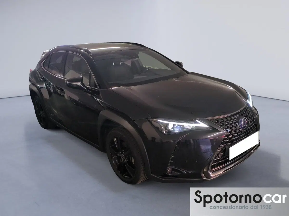 Lexus UX usata a Milano (7)