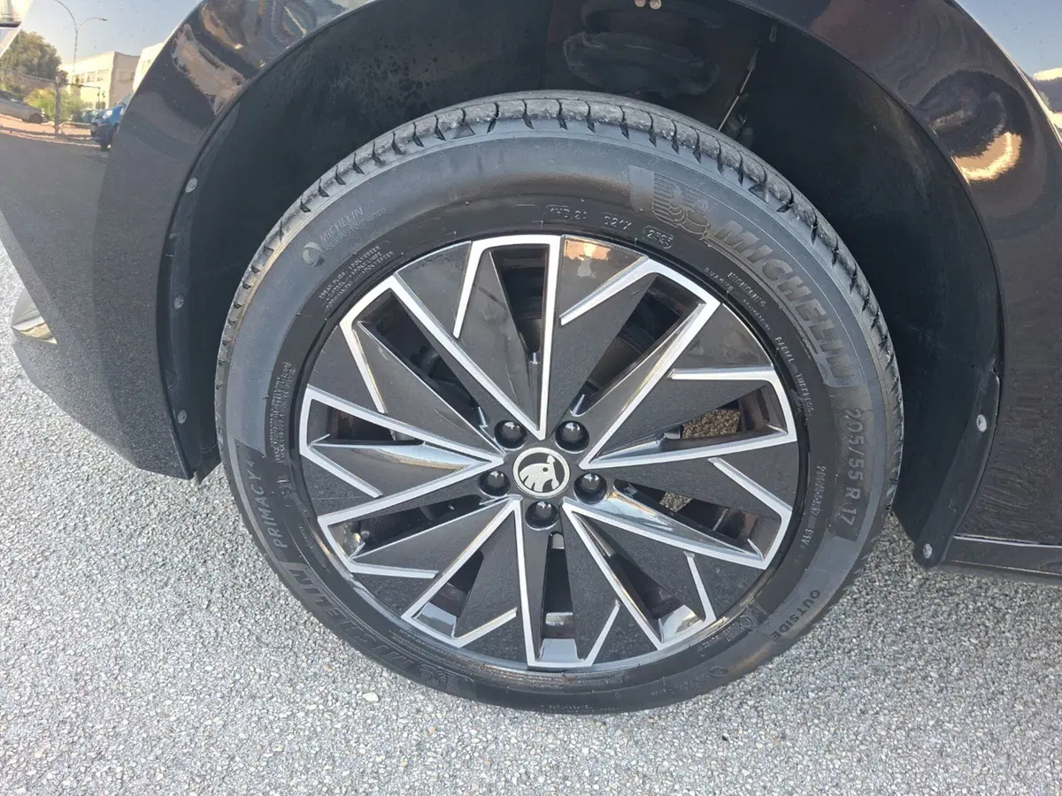 Skoda Kamiq usata a Ancona (11)