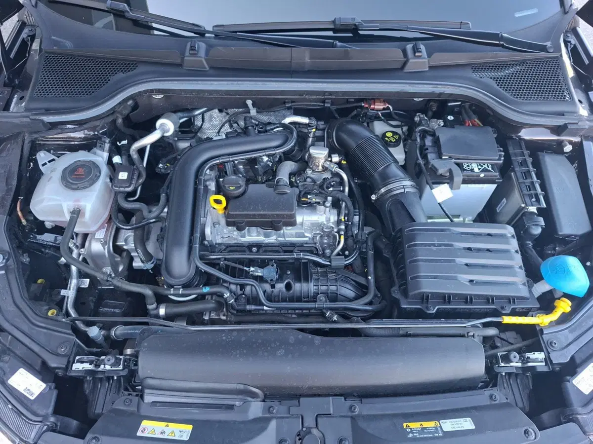 Skoda Kamiq usata a Ancona (13)