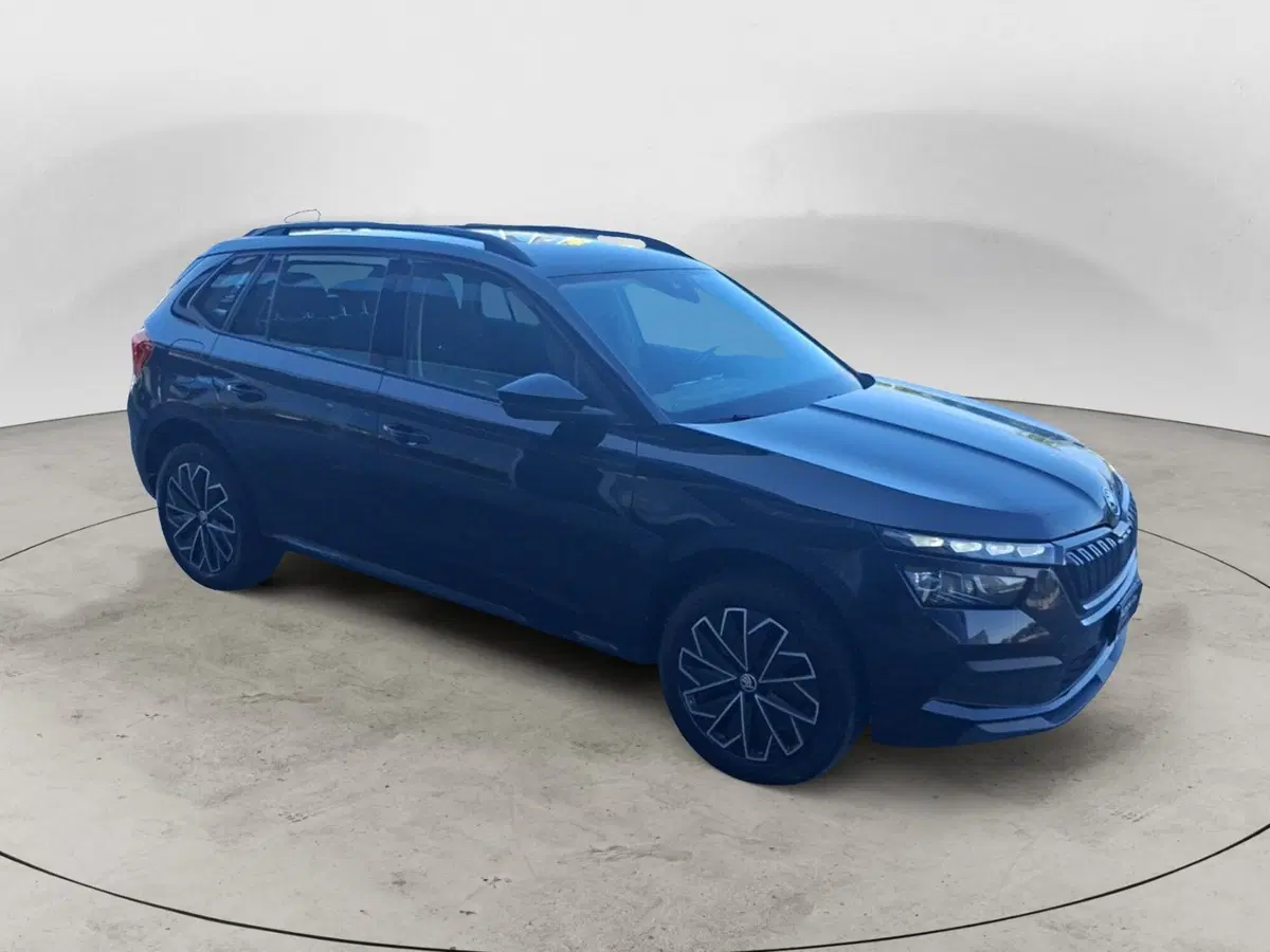 Skoda Kamiq usata a Ancona (7)