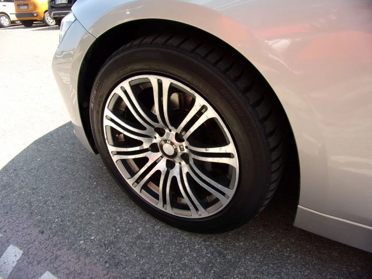 BMW Serie 3 usata a Reggio Emilia (8)