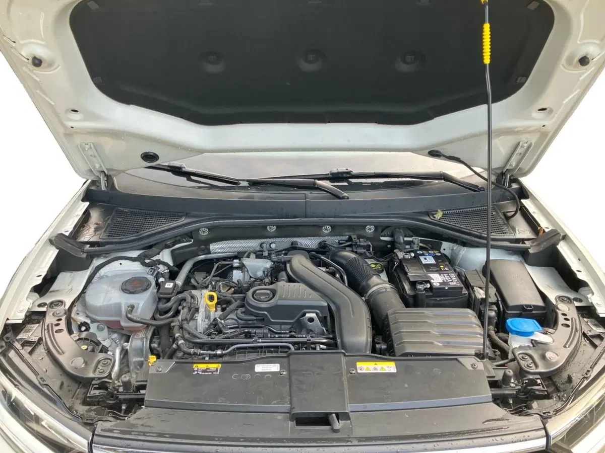 Volkswagen T-Roc usata a Bologna (10)