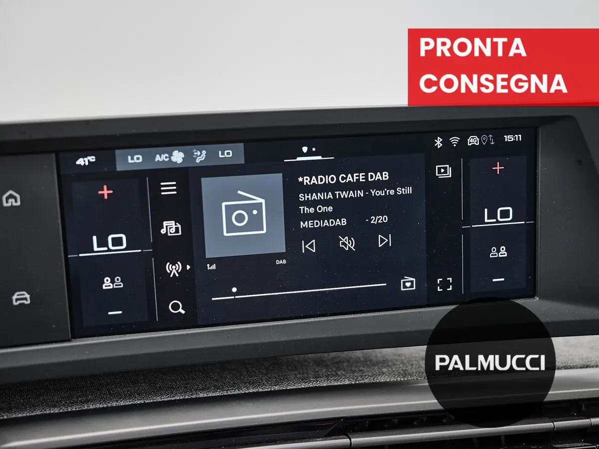 Peugeot 3008 usata a Prato (18)