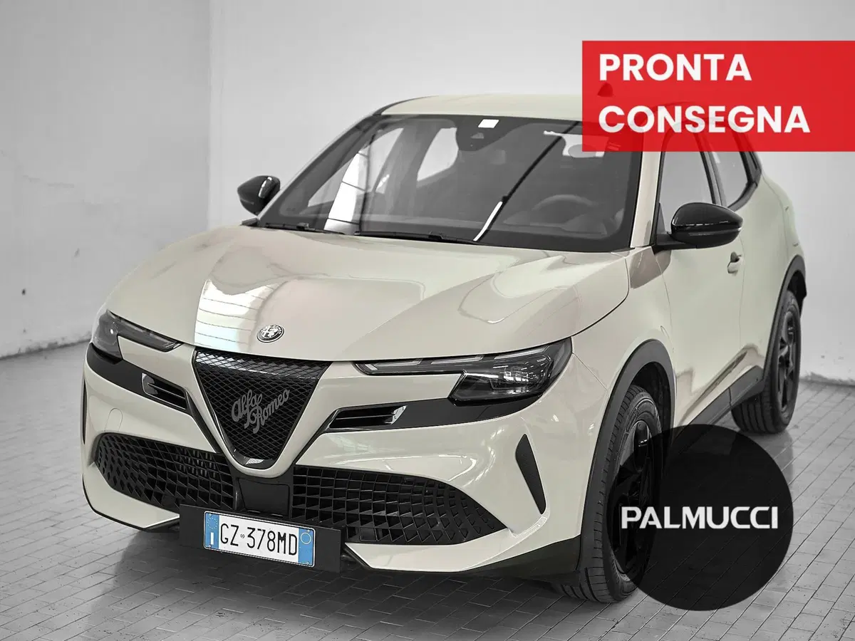 Alfa Romeo Junior usata a Prato
