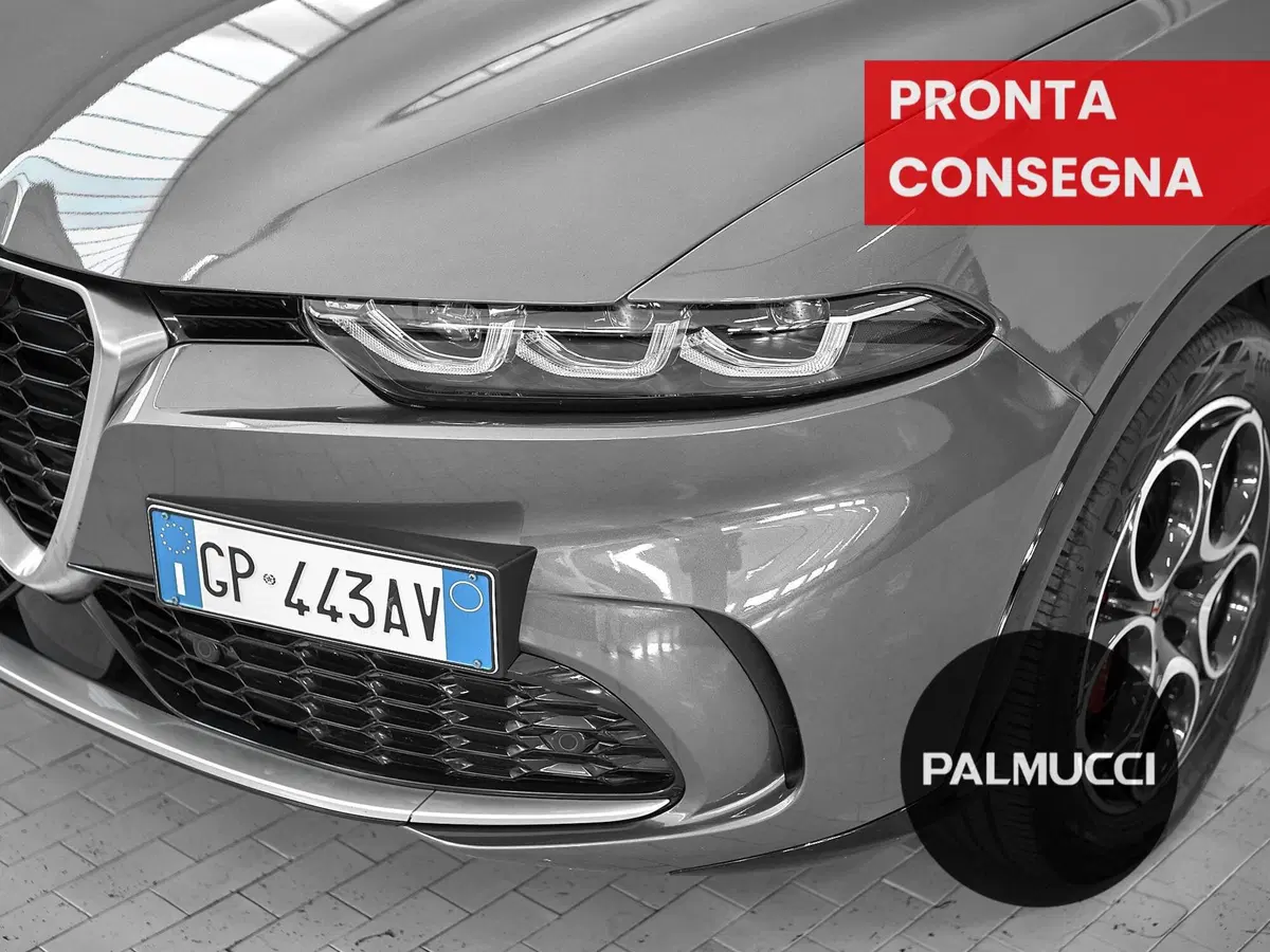 Alfa Romeo Tonale usata a Prato (6)