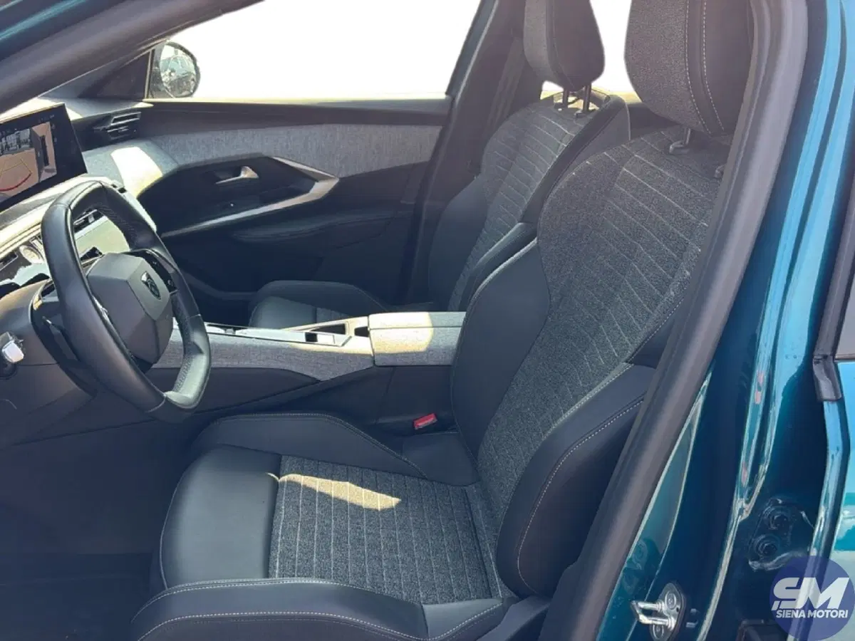 Peugeot 3008 usata a Firenze (19)