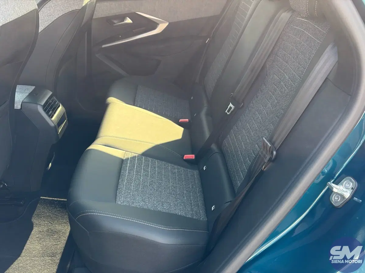 Peugeot 3008 usata a Firenze (20)