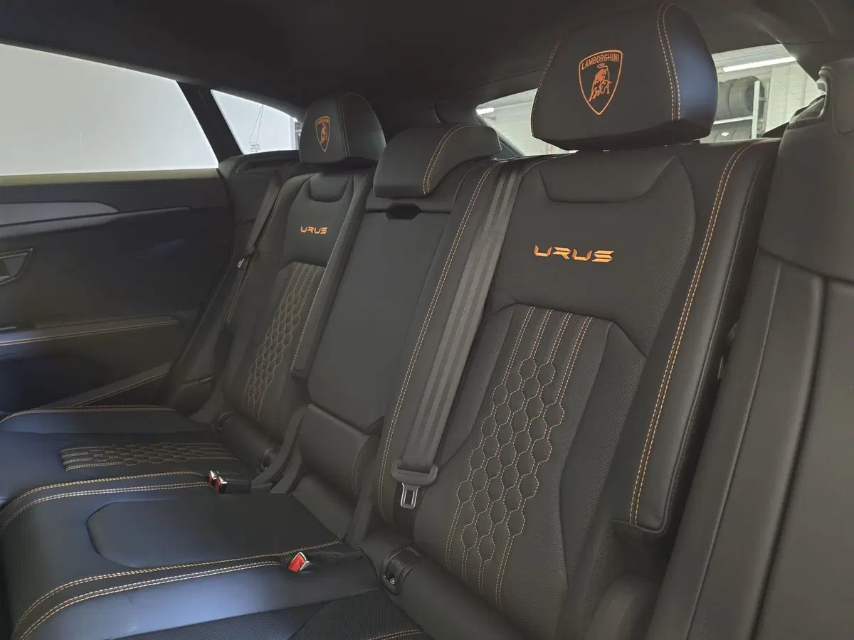 Lamborghini Urus usata a Bologna (8)