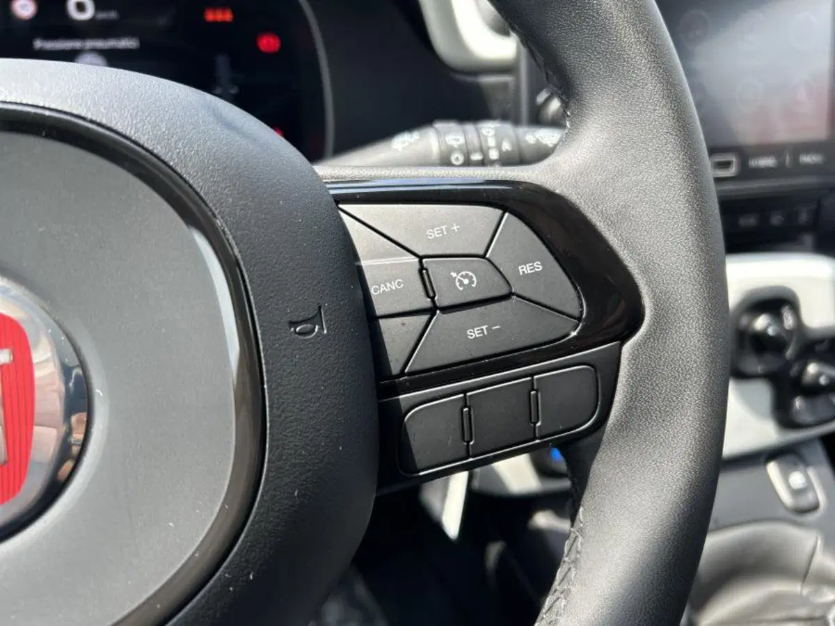 Fiat Panda Cross usata a Cuneo (16)