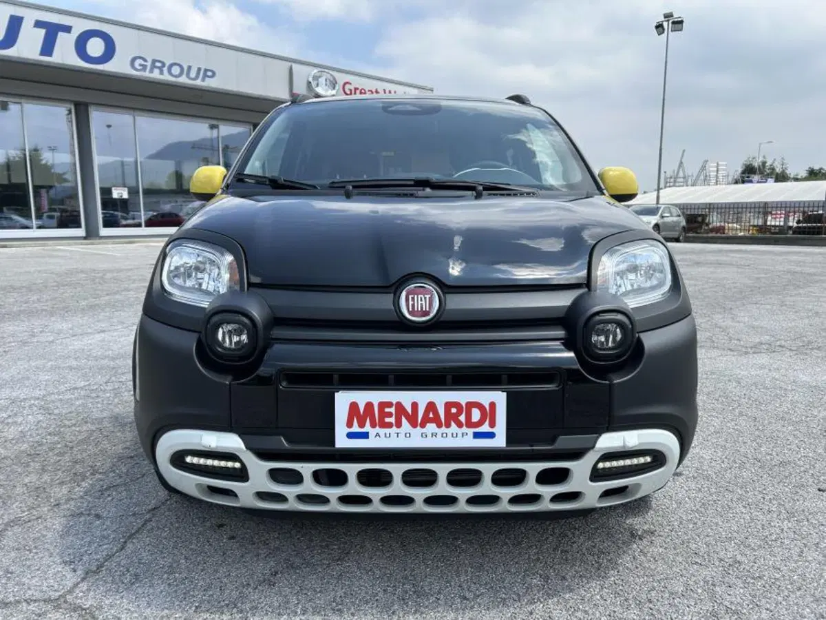 Fiat Panda Cross usata a Cuneo (2)