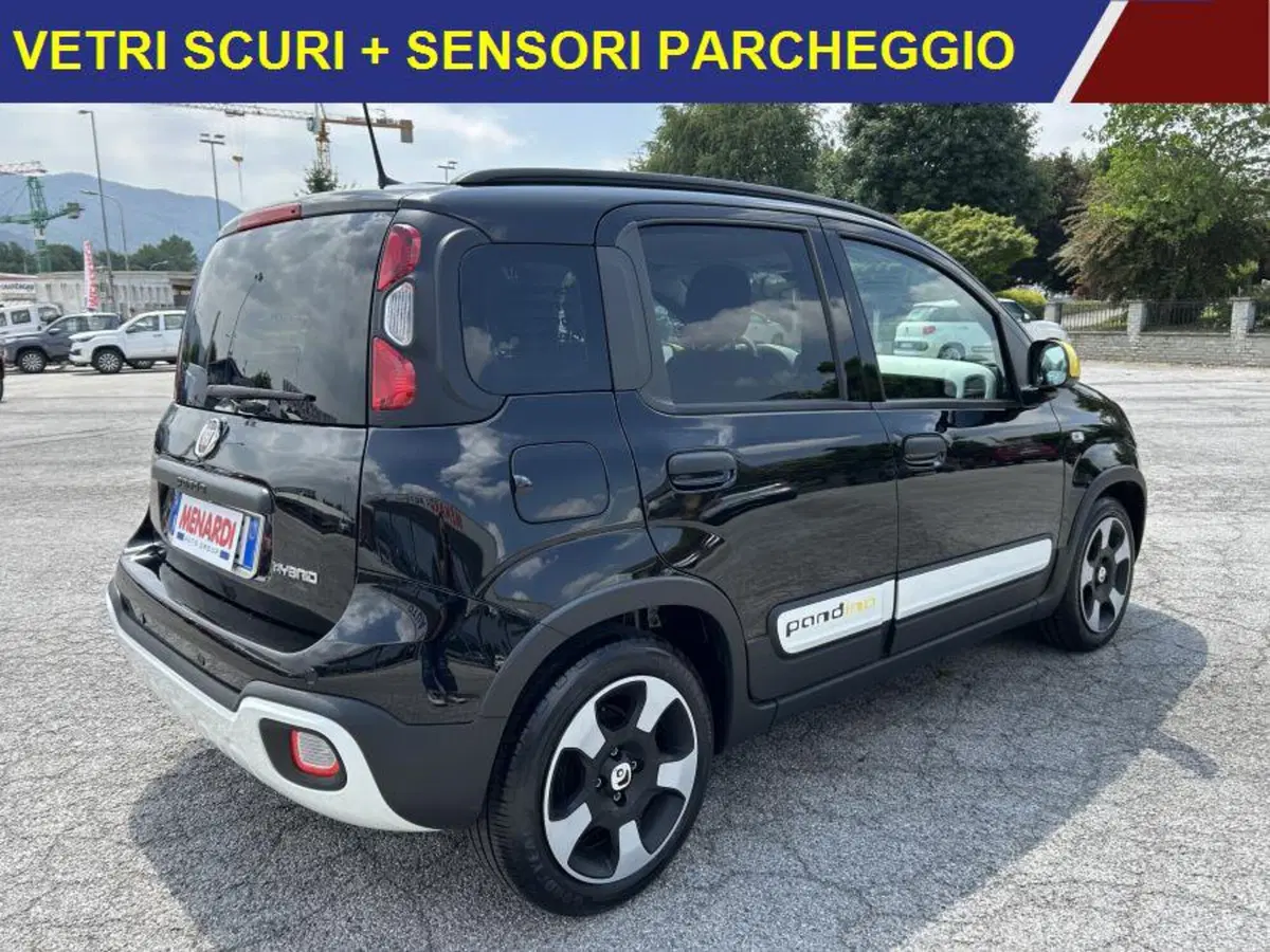 Fiat Panda Cross usata a Cuneo (3)