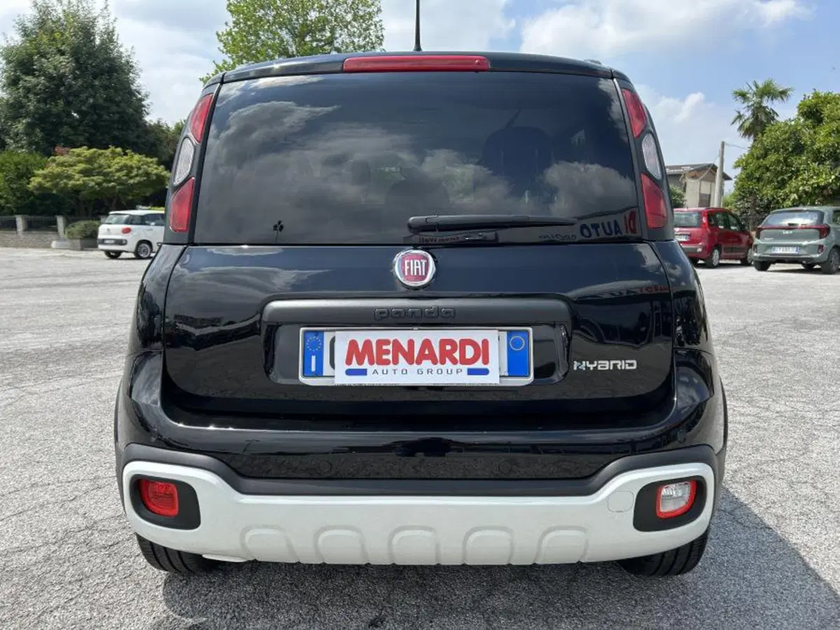 Fiat Panda Cross usata a Cuneo (4)