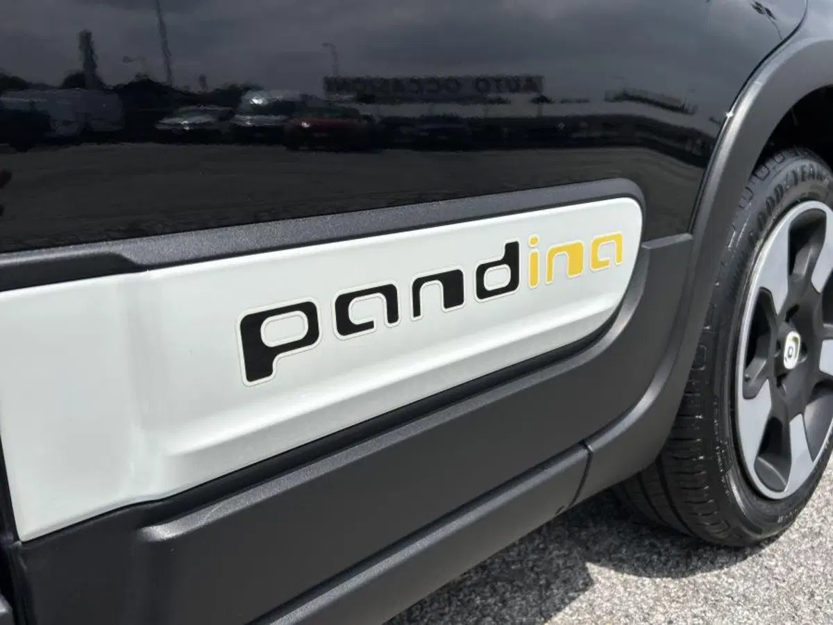 Fiat Panda Cross usata a Cuneo (6)