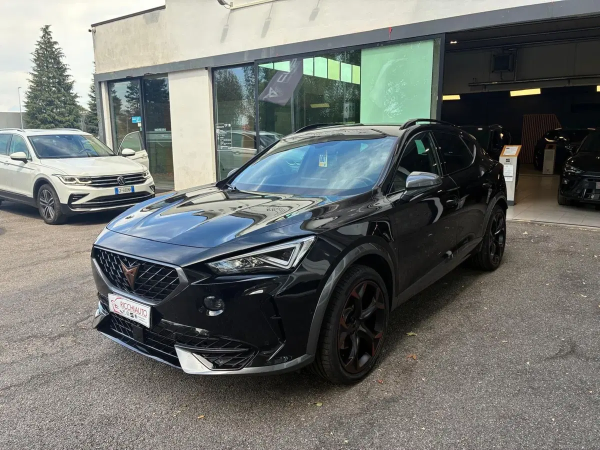 Cupra Formentor usata a Monza e Brianza (2)