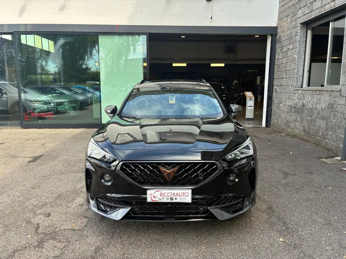 Cupra Formentor usata a Monza e Brianza (5)