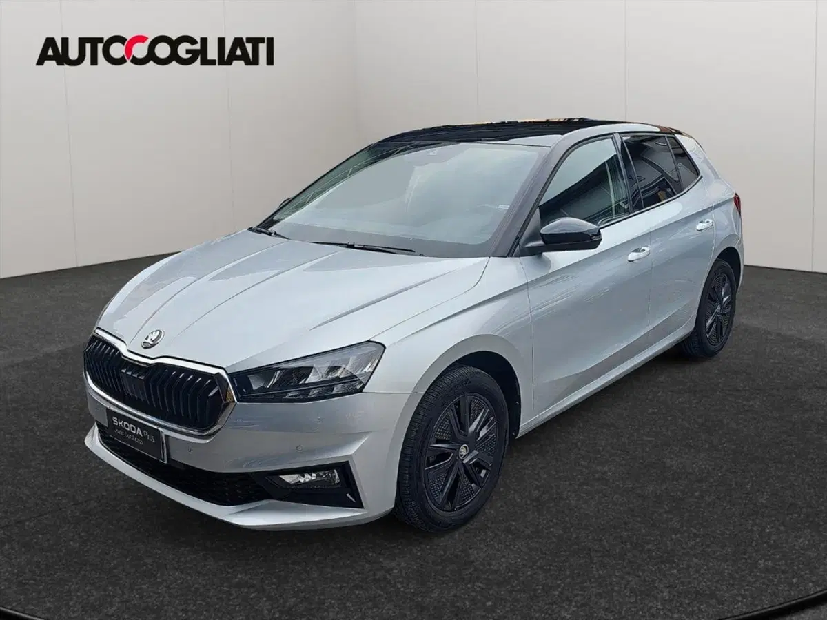 Skoda Fabia usata a Lecco