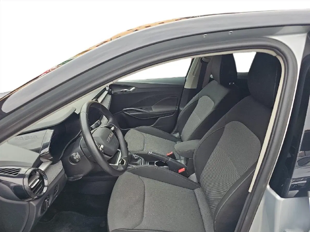 Skoda Fabia usata a Lecco (11)