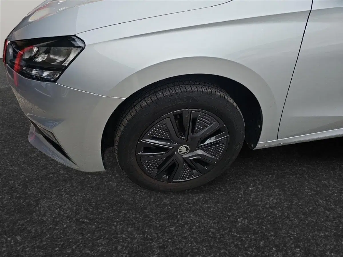 Skoda Fabia usata a Lecco (18)