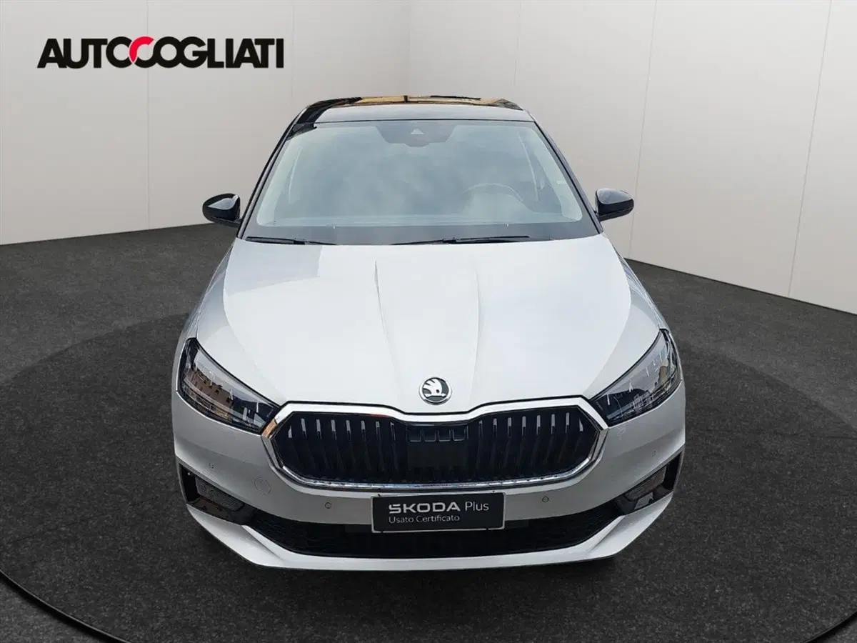 Skoda Fabia usata a Lecco (2)