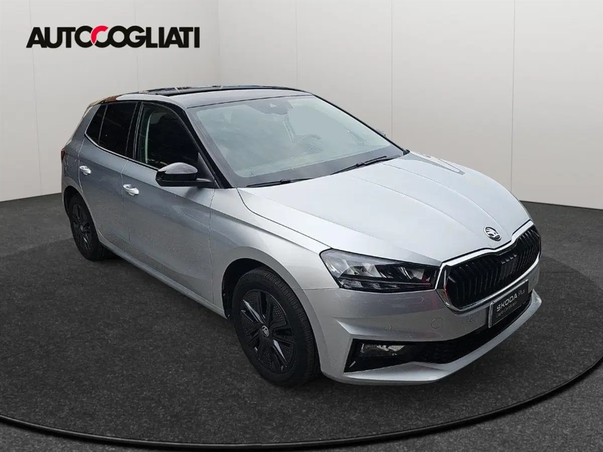 Skoda Fabia usata a Lecco (3)