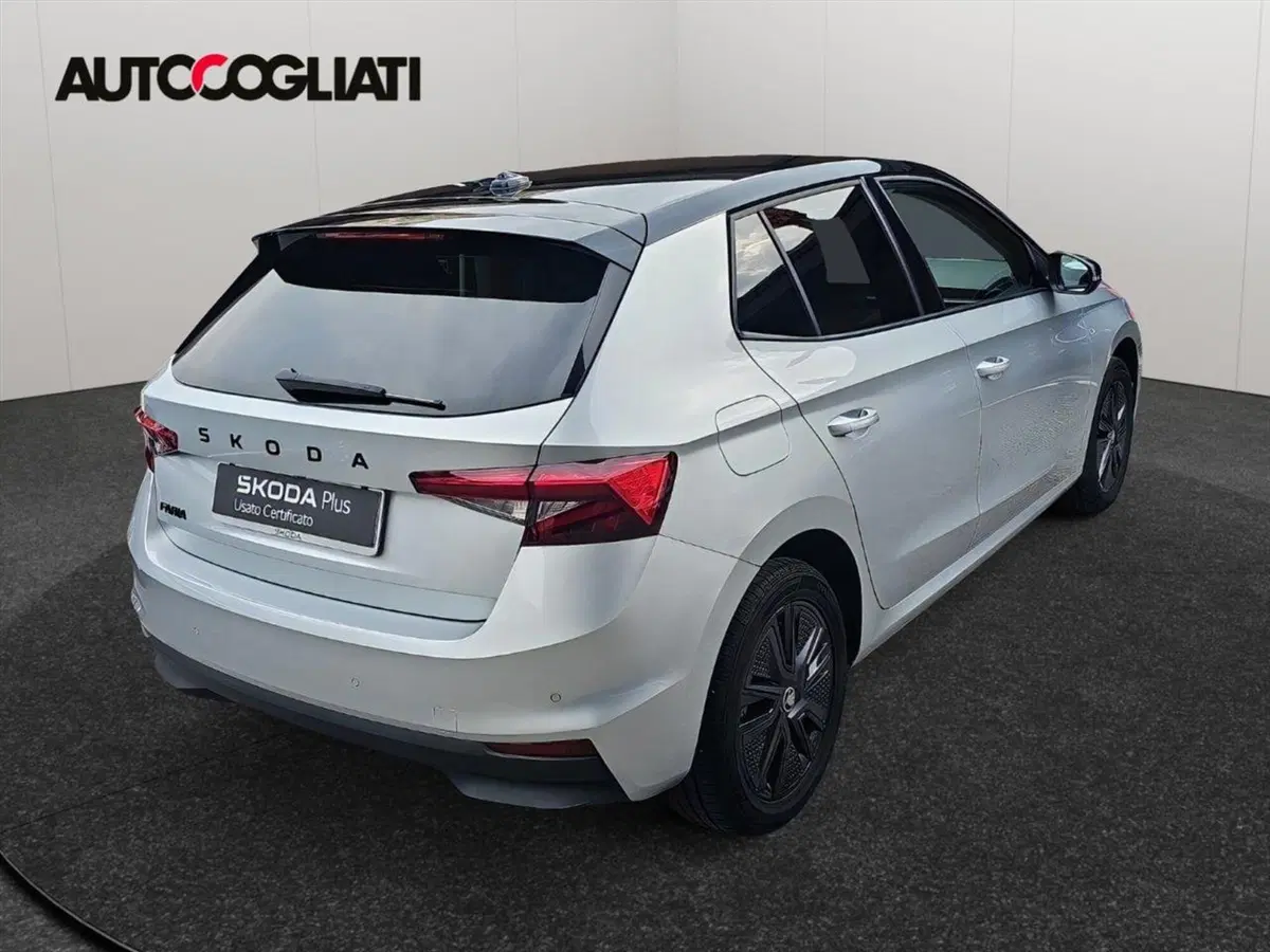 Skoda Fabia usata a Lecco (5)