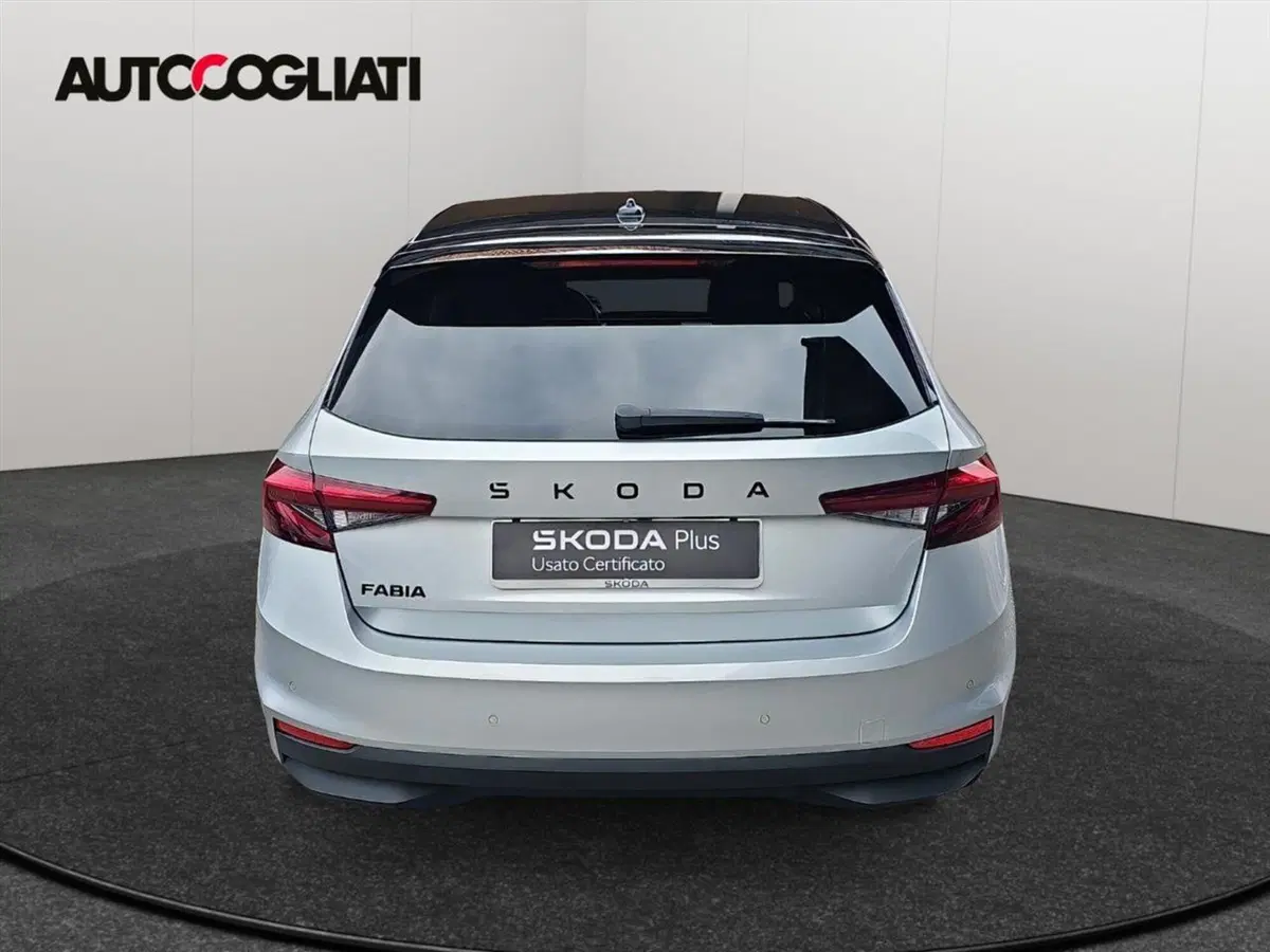 Skoda Fabia usata a Lecco (6)