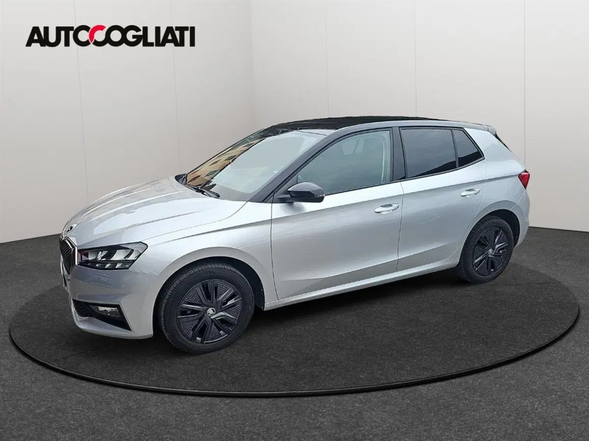Skoda Fabia usata a Lecco (7)