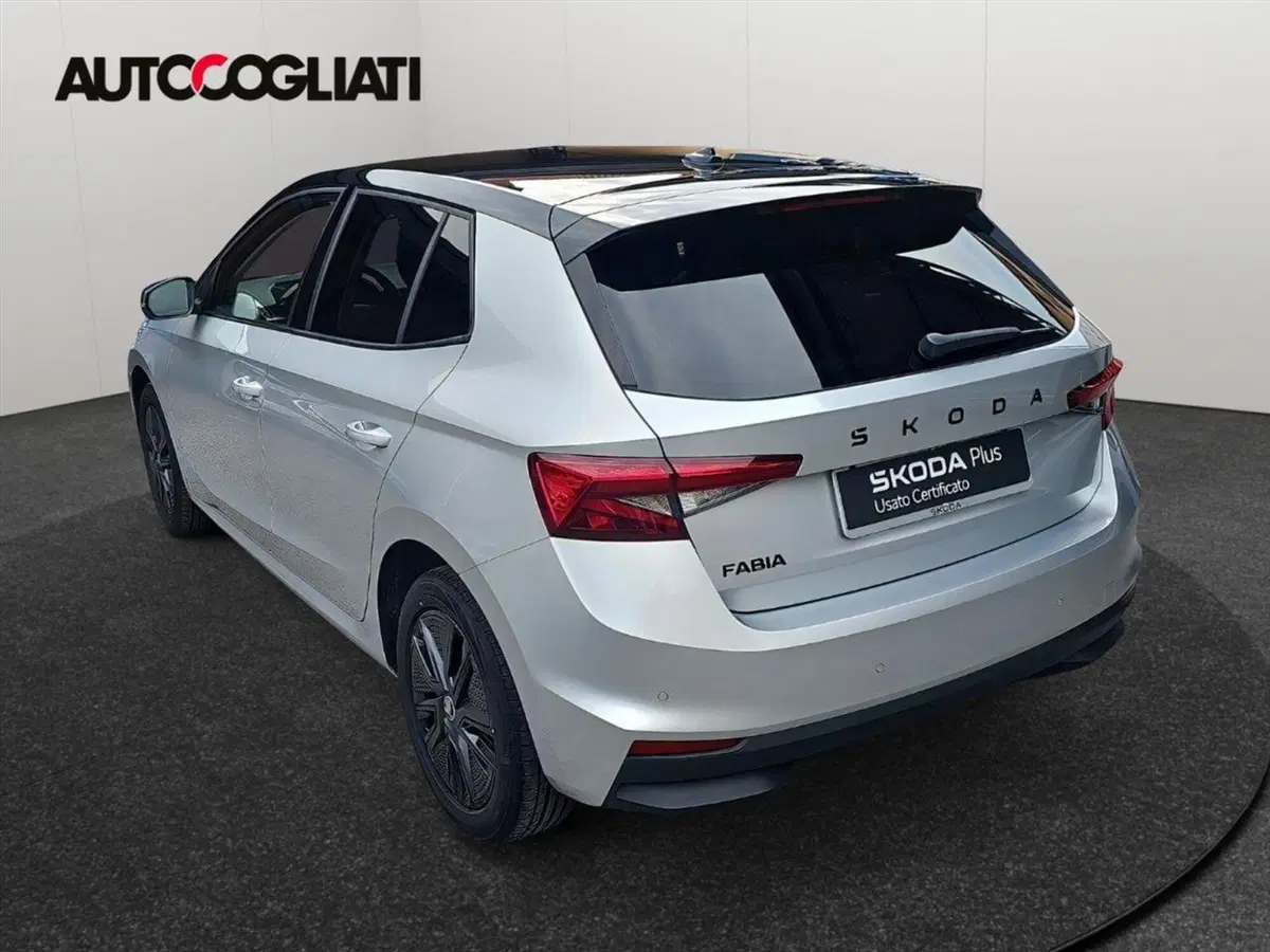 Skoda Fabia usata a Lecco (8)