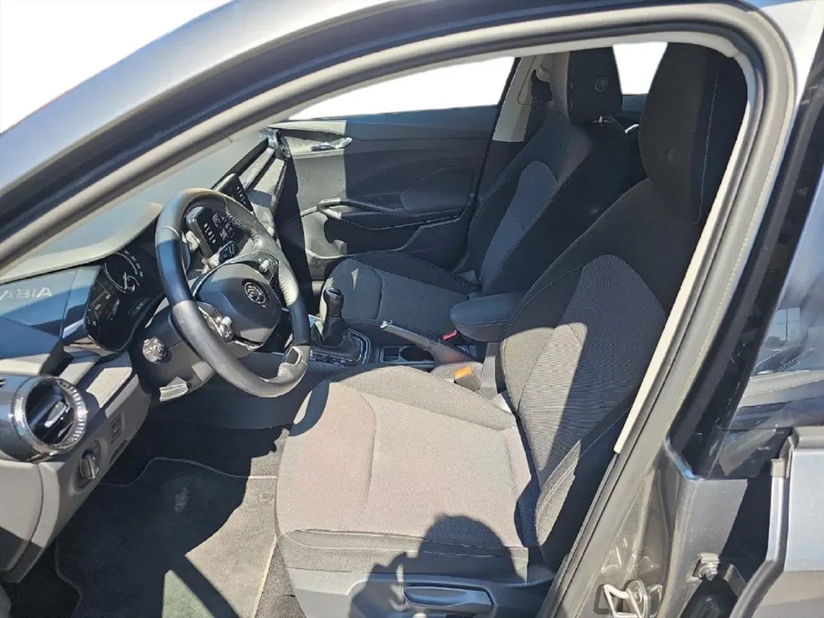 Skoda Fabia usata a Lecco (12)