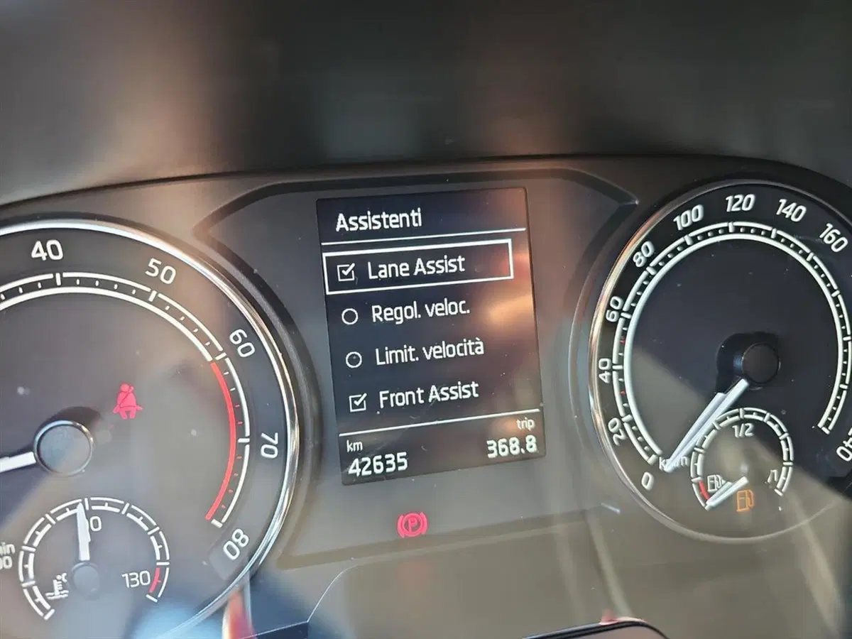 Skoda Fabia usata a Lecco (15)