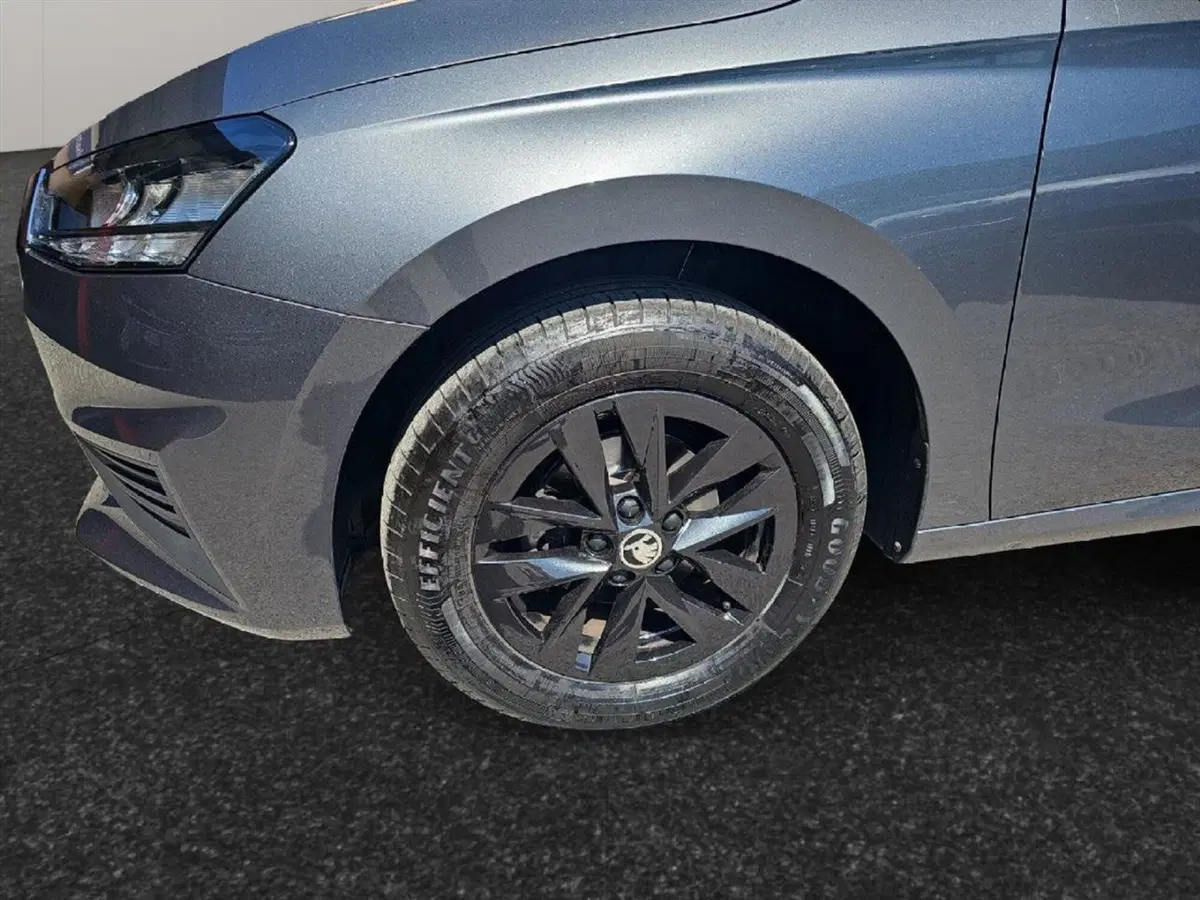 Skoda Fabia usata a Lecco (17)