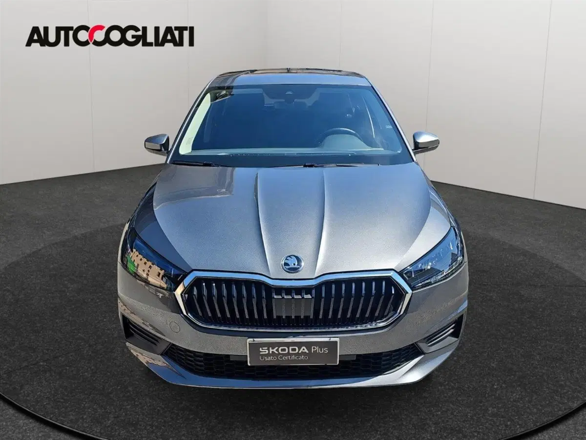 Skoda Fabia usata a Lecco (2)