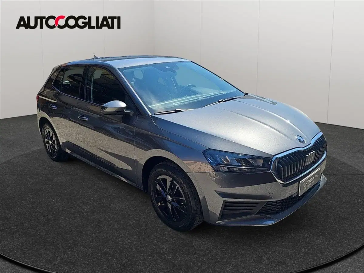 Skoda Fabia usata a Lecco (3)