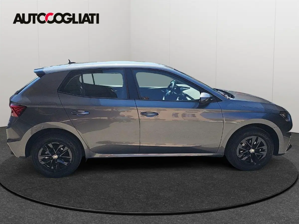 Skoda Fabia usata a Lecco (4)
