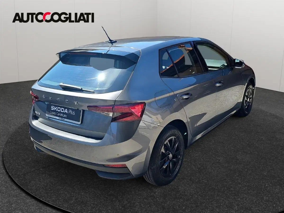 Skoda Fabia usata a Lecco (5)