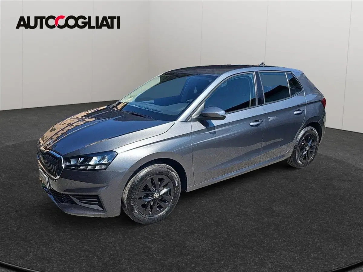 Skoda Fabia usata a Lecco (6)